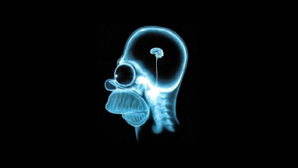 Minimalist Homer Simpson X-ray wallpaper glowing blue brain humorous medical scan background