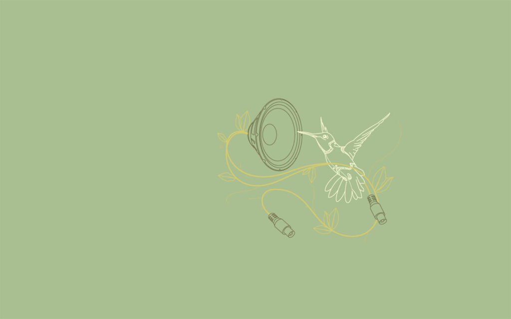 Minimalist Hummingbird Wallpaper: Elegant Design with Green Background