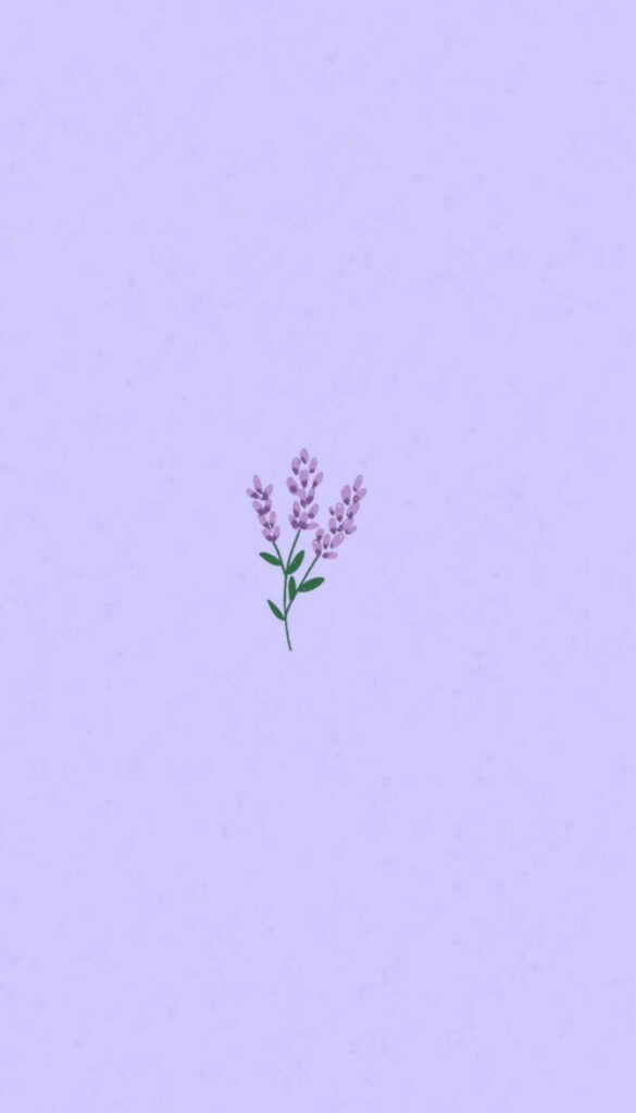 Minimalist Lavender Flower Wallpaper on Light Purple Background