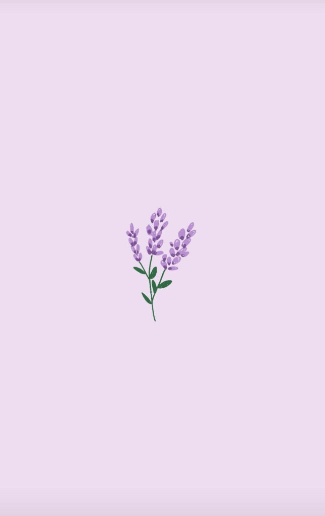 Elegant Minimalist Lavender Wallpaper for Serene Spring Vibes