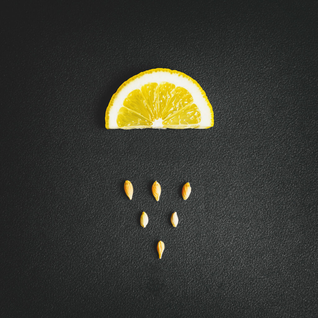 Minimalist Wallpaper: Lemon Slice on Seeded Dark Background