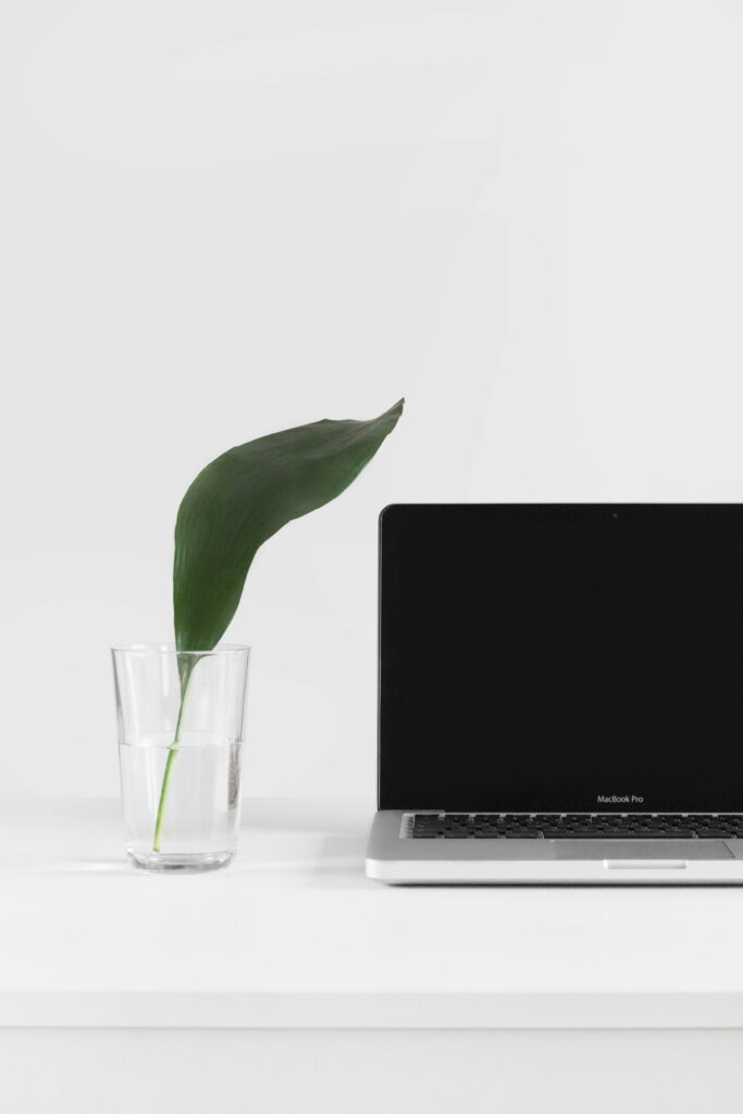 Sleek MacBook Pro Wallpaper on White Desk with Green Leaf Accent