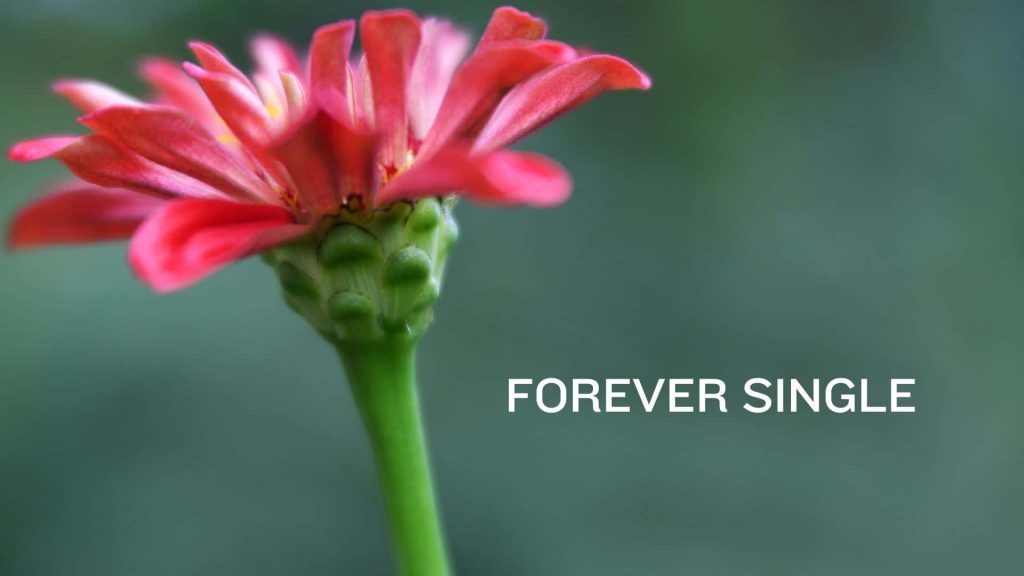 Minimalist macro wallpaper of vibrant reddish-pink flower with FOREVER SINGLE text on green blur background