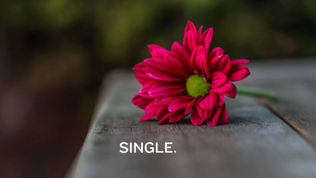 Minimalist wallpaper with vivid magenta flower lime green center on weathered wood table single text