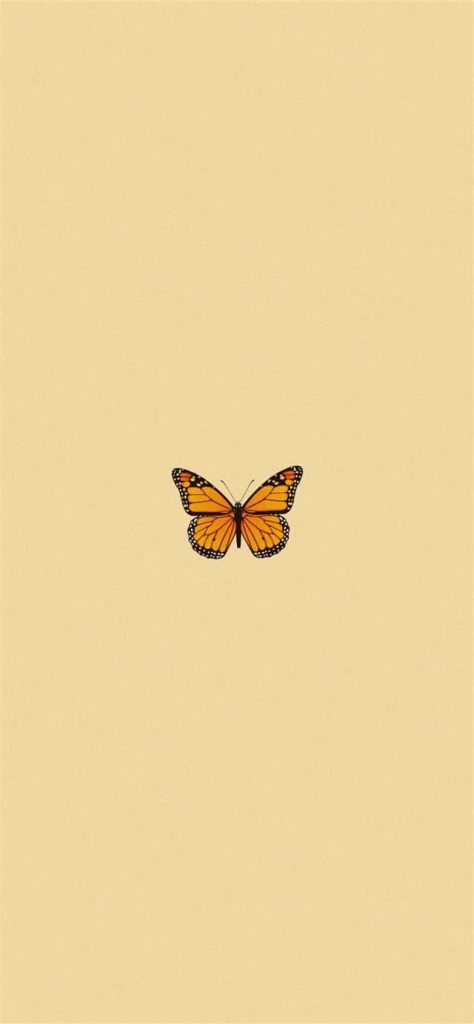 Minimalist wallpaper with detailed monarch butterfly on soft beige background for serene style