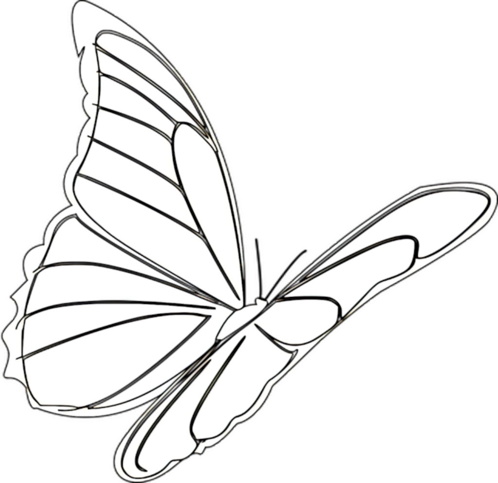 Minimalist Monochrome Butterfly Illustration: Intricate Line Art Wallpaper