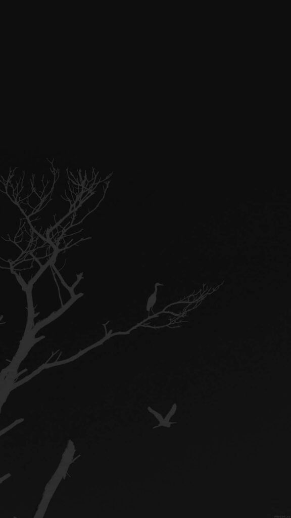 Minimalist Black Wallpaper with Abstract Tree and Birds Design