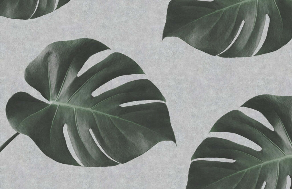 Minimalistic Monstera Leaves Wallpaper in Soft Green & Gray Background