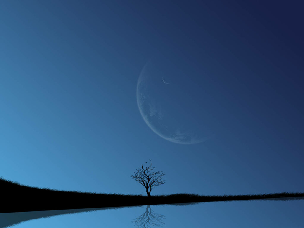 Minimalist Nature Wallpaper: Moonlit Tree by Tranquil Water