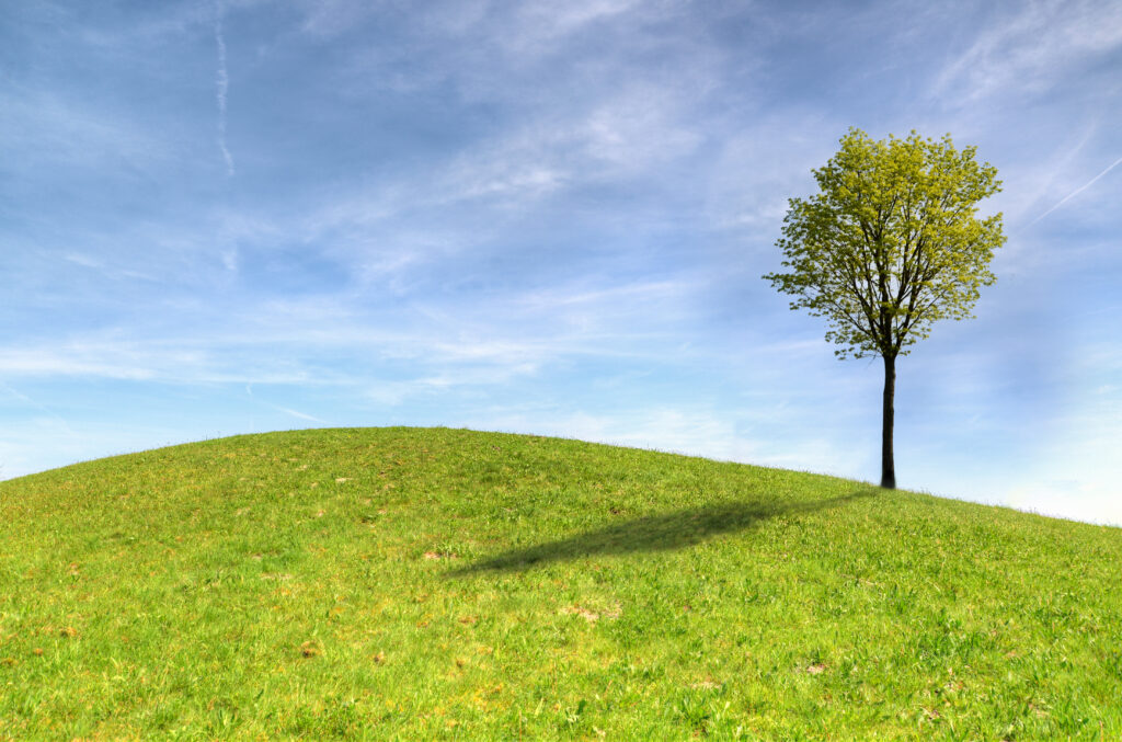 Lone tree on green hill casting shadow under clear blue sky with wispy clouds tranquil landscape Wallpaper