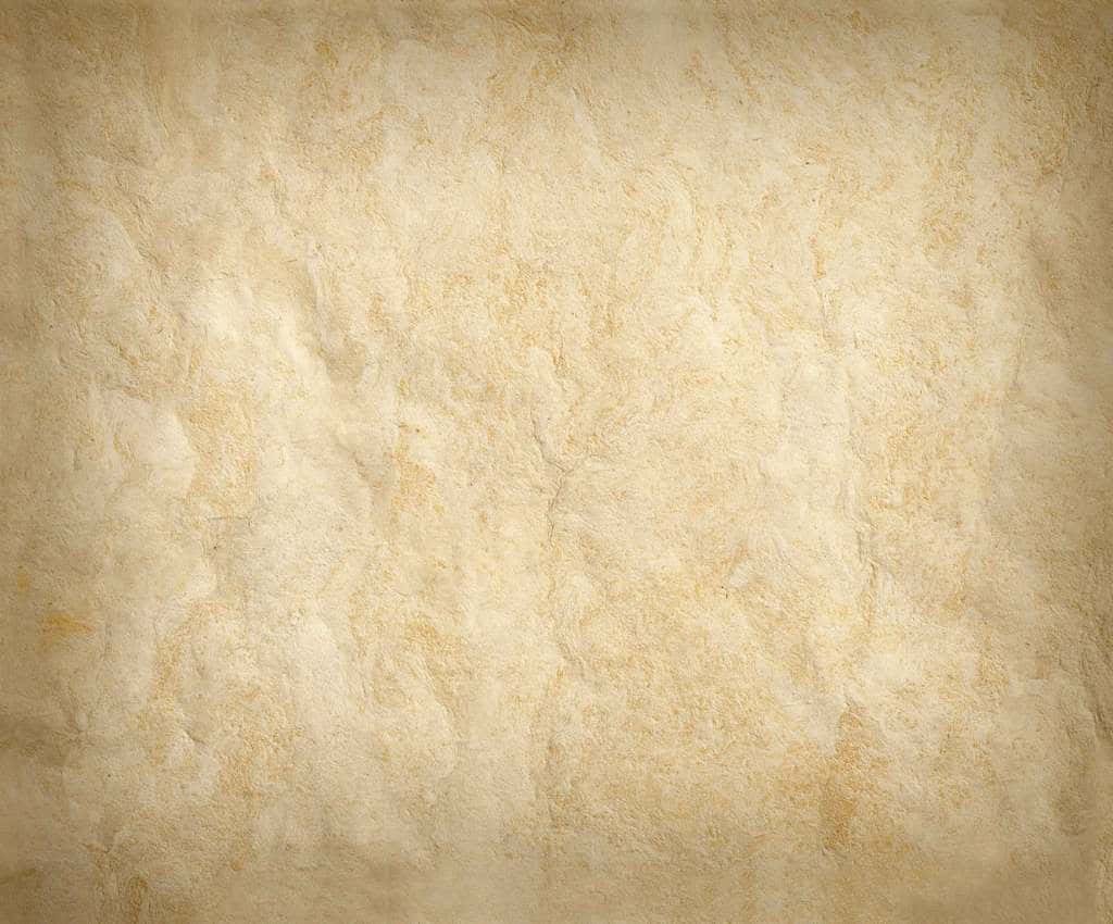 Neutral tan wallpaper with organic fibrous texture and soft cream light brown minimalist design