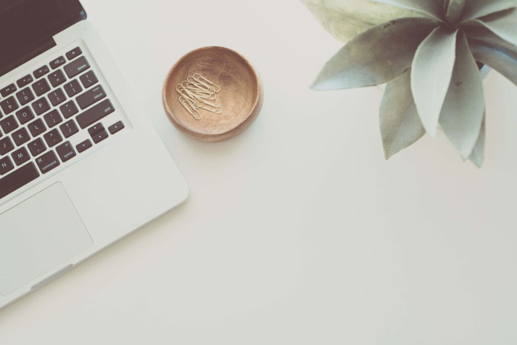 Minimalist Office Table Setup: Laptop & Succulent for LinkedIn Use Wallpaper