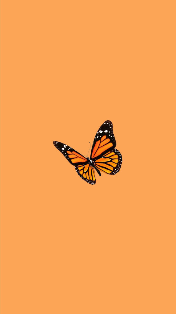 Minimalist Orange Monarch Butterfly Wallpaper Background Design
