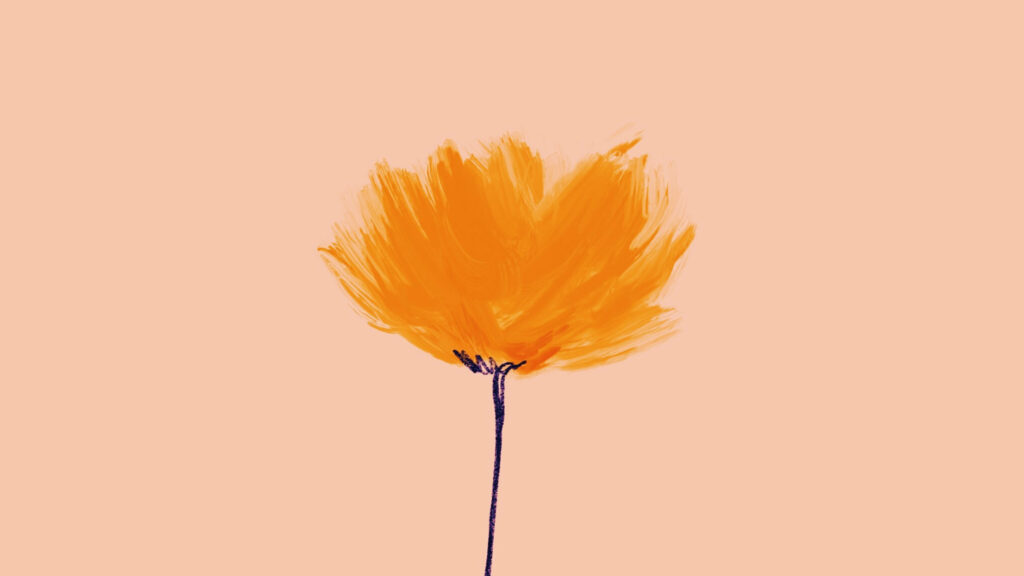 Minimalist Orange Flower Wallpaper on Soft Peach Background