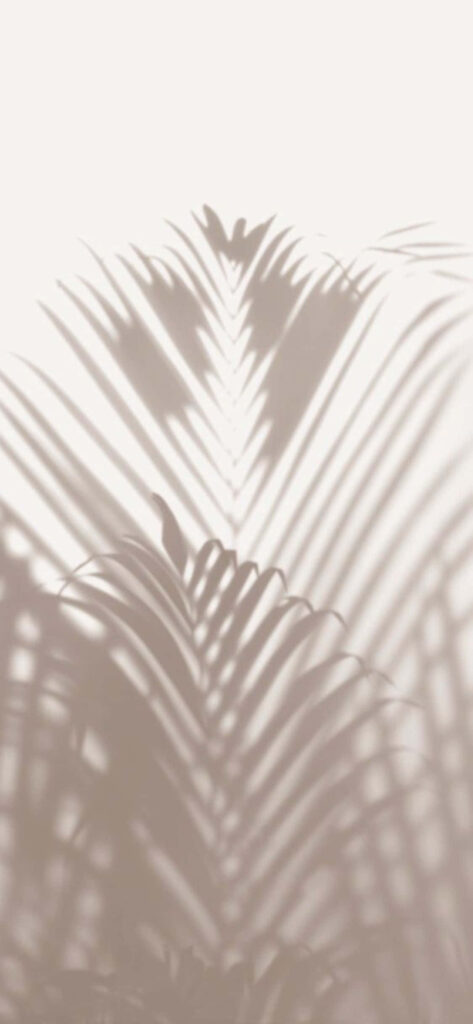 Minimalist Palm Leaf Wallpaper: Serene Light and Shadow Design