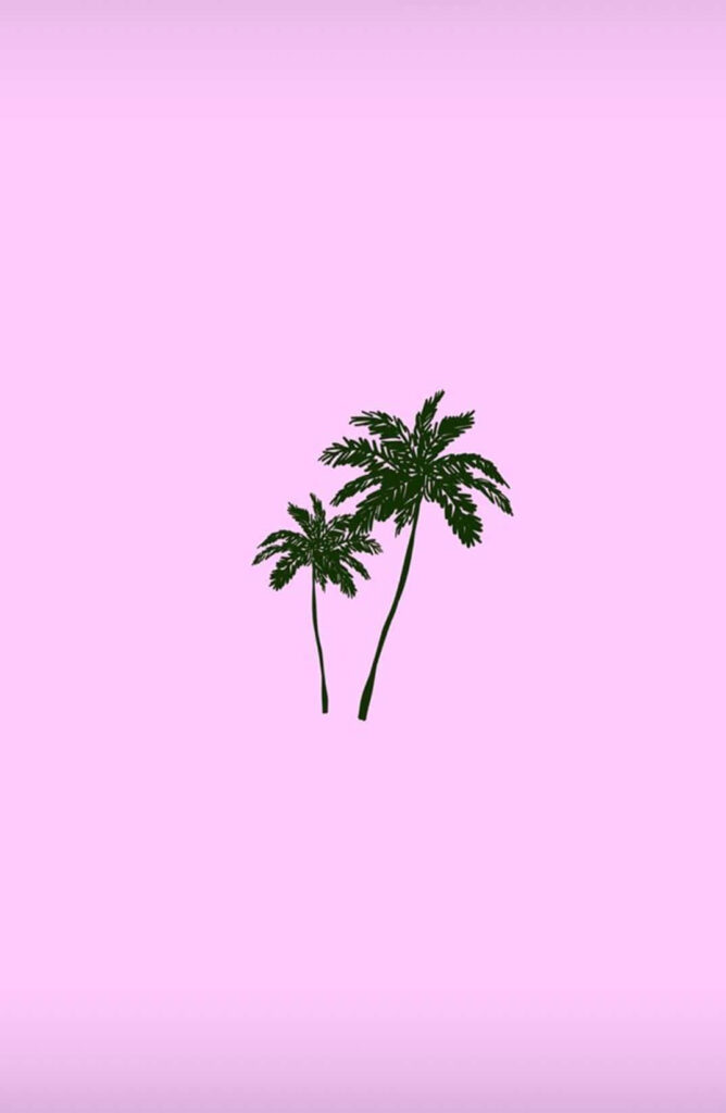 Minimalist Palm Tree Wallpaper on Soft Pink Background