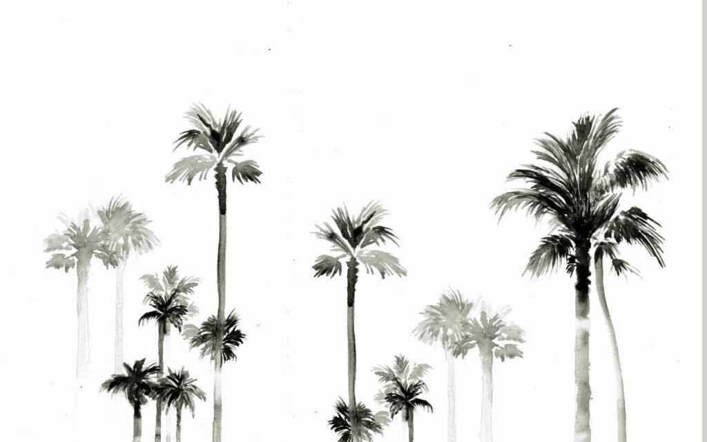 Minimalist Palm Tree Wallpaper for a Summer Laptop Background