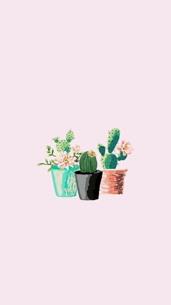 Minimalist mobile wallpaper with three pastel cacti in decorative pots on soft pink background