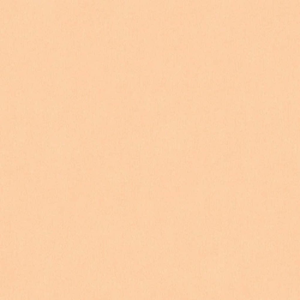 Minimalist pastel orange wallpaper with fine texture warm clean calming digital background
