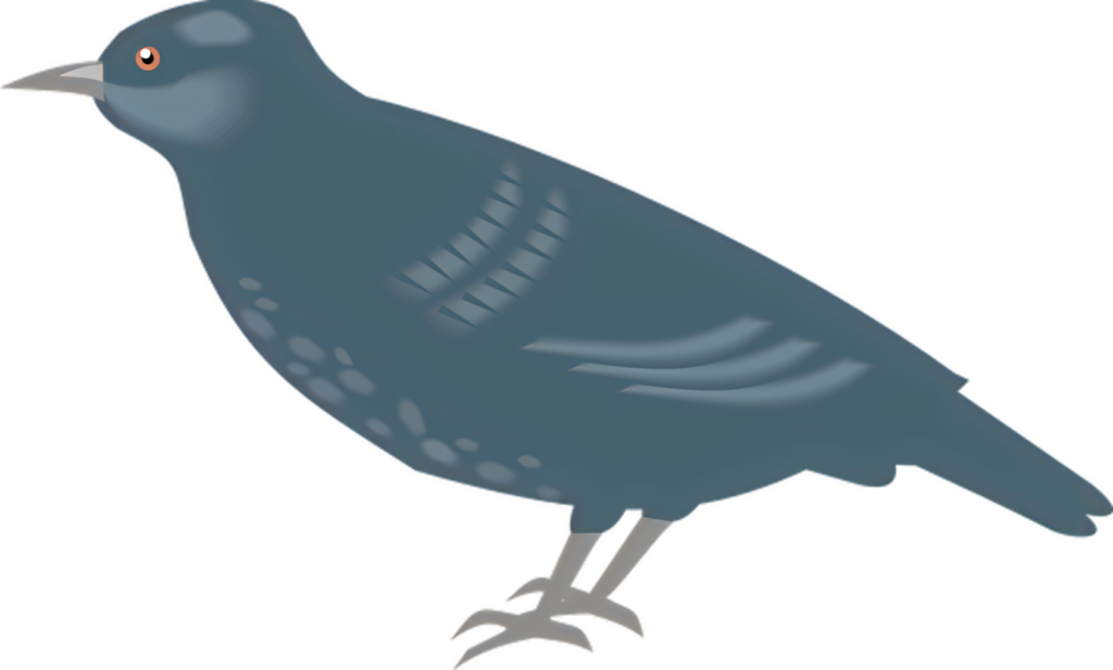 Minimalist Pigeon Wallpaper PNG - Sleek Bird Illustration