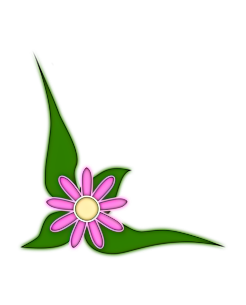 Minimalist Pink Daisy Wallpaper with Green Leaves on Transparent Background