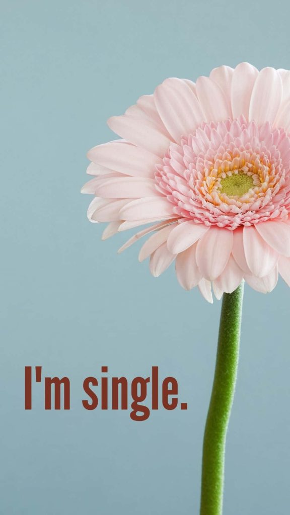 Minimalist wallpaper with pink Gerbera daisy on blue background and bold Im single text