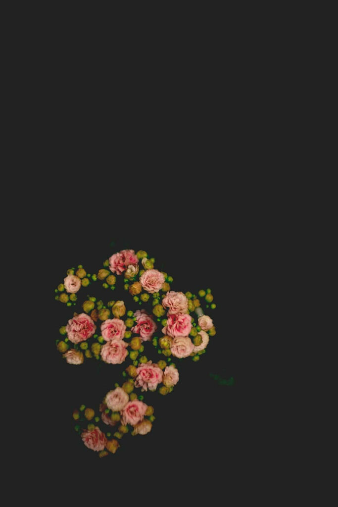 Minimalist Spring Wallpaper: Pink Roses & Green Buds on Dark Background