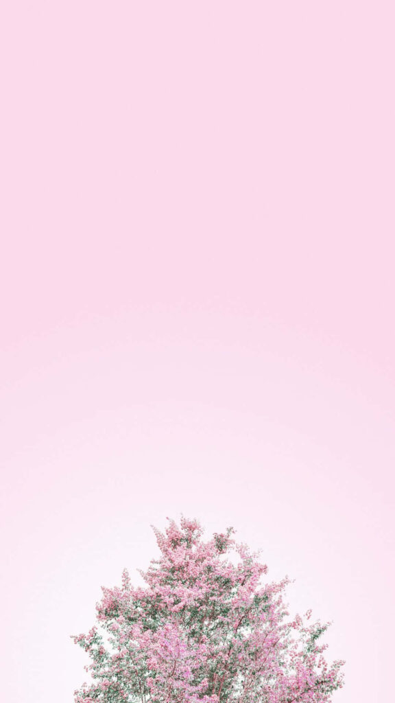 Serene Minimalist Wallpaper: Pink Flower Tree on Soft Background