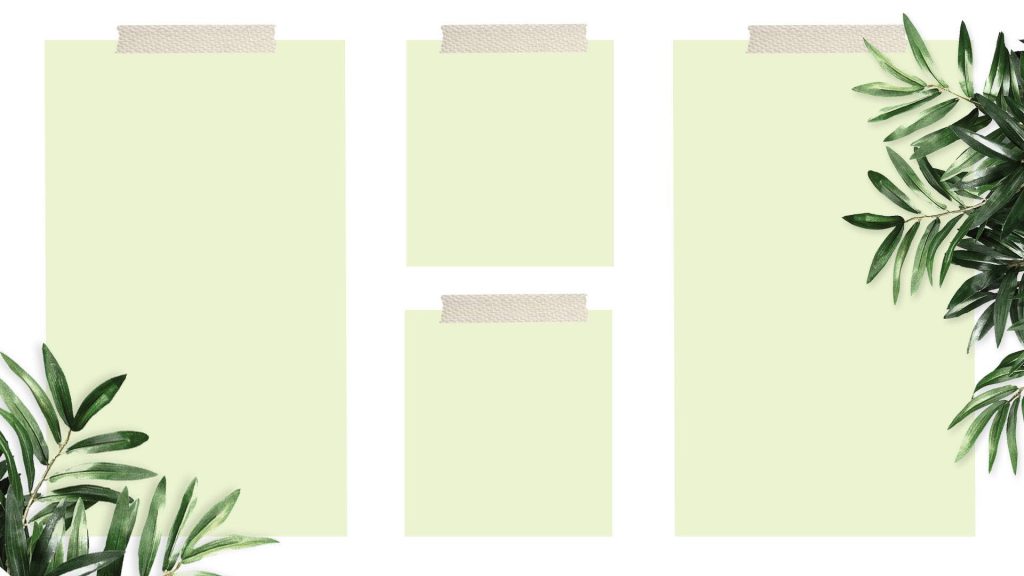 Minimalist pastel green plant desktop organizer wallpaper with olive branch foliage for productivity