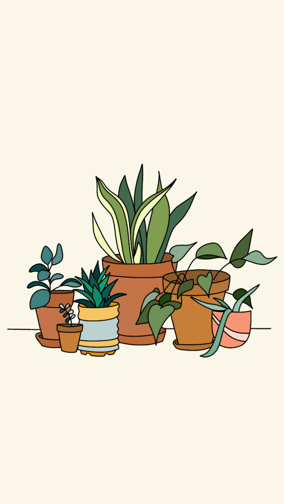 Minimalist Plant Drawing Wallpaper: Serene Greenery Aesthetic
