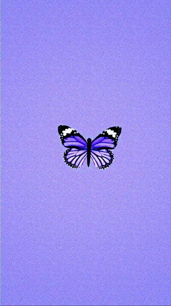 Minimalist Lavender Background with Elegant Purple Butterfly Wallpaper