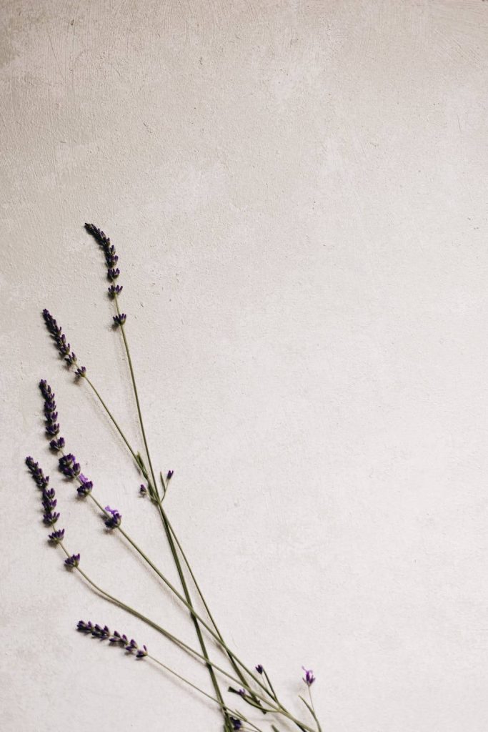Minimalist iPhone wallpaper with delicate purple lavender sprigs on textured off-white background