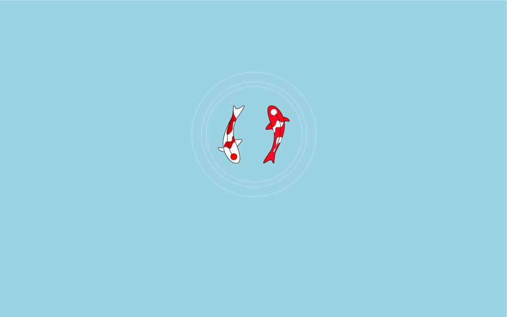Minimalist wallpaper with two red and white koi fish swimming in calm circular ripples background