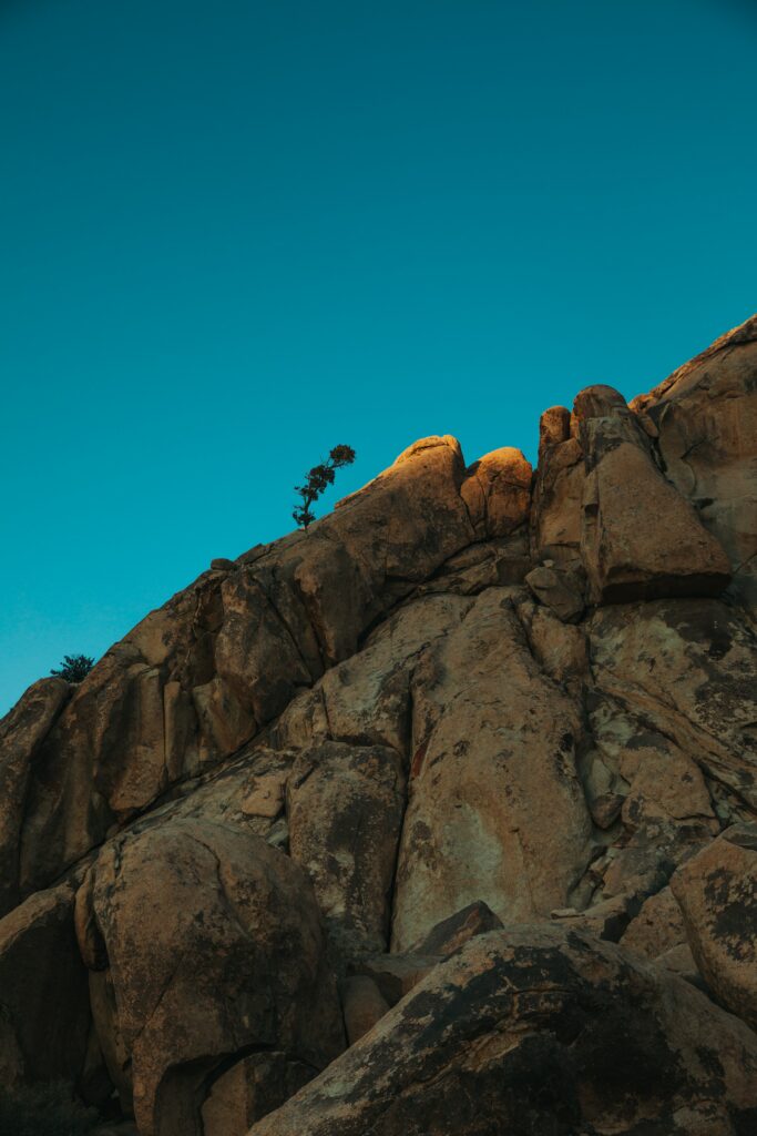 Minimalist wallpaper of sunlit rugged rocks with a resilient plant under clear blue sky background
