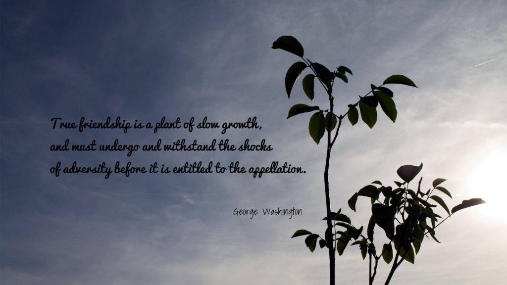 Minimalist young sapling silhouette against bright cloudy sky with George Washington friendship quote Wallpaper