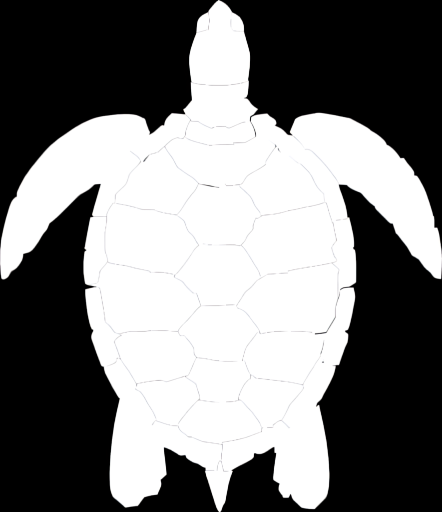 Minimalist Sea Turtle Silhouette Wallpaper for Serene Oceanic Decor