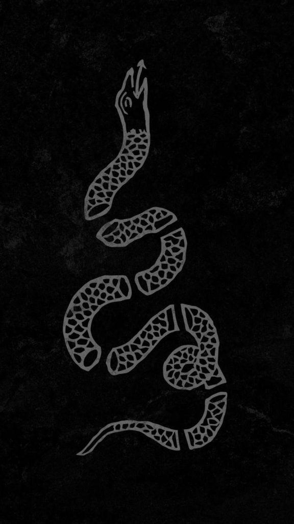 Minimalist segmented rattlesnake digital illustration inspired by Gadsden flag on black textured background Wallpaper