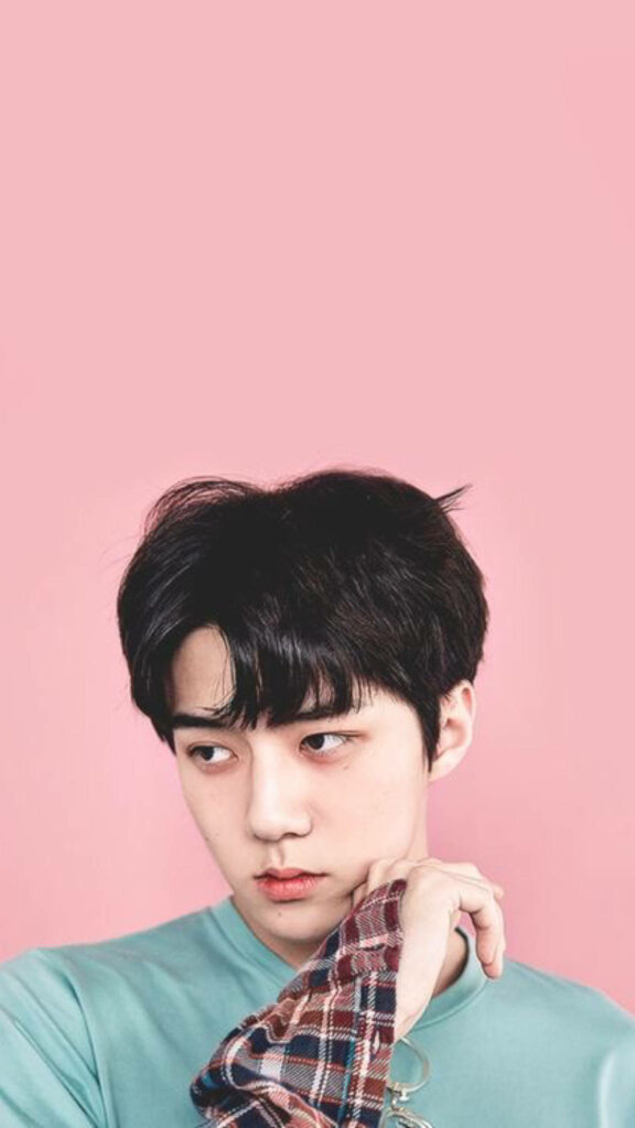 Minimalist EXO Sehun Wallpaper: Soft Pink Background for K-POP Fans