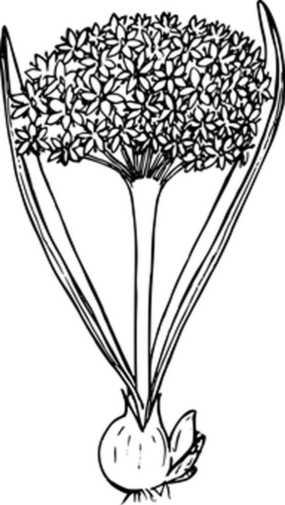 Minimalist Solid Black Wallpaper - Perfect for Aesthetic Desktop Use