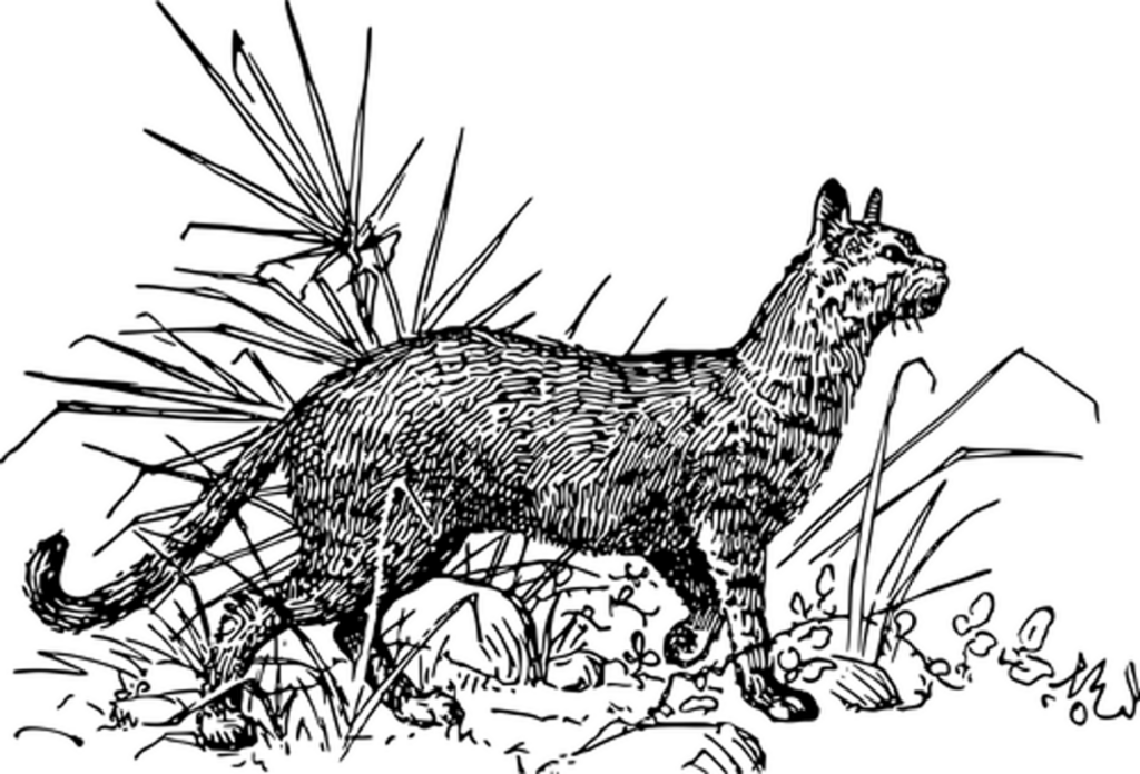 Solid Black Minimalist Wallpaper: Versatile Desktop Background