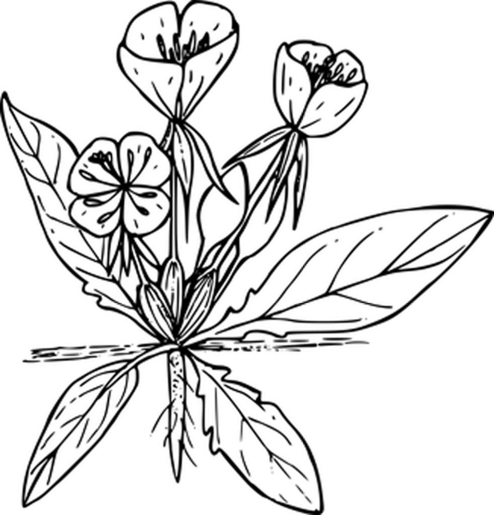 Minimalist Solid Black Wallpaper: Versatile Background for Any Use
