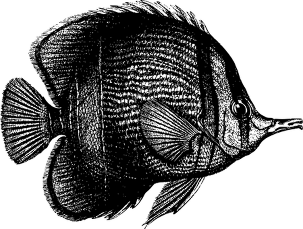 Versatile Solid Black Wallpaper for Minimalist Background Design