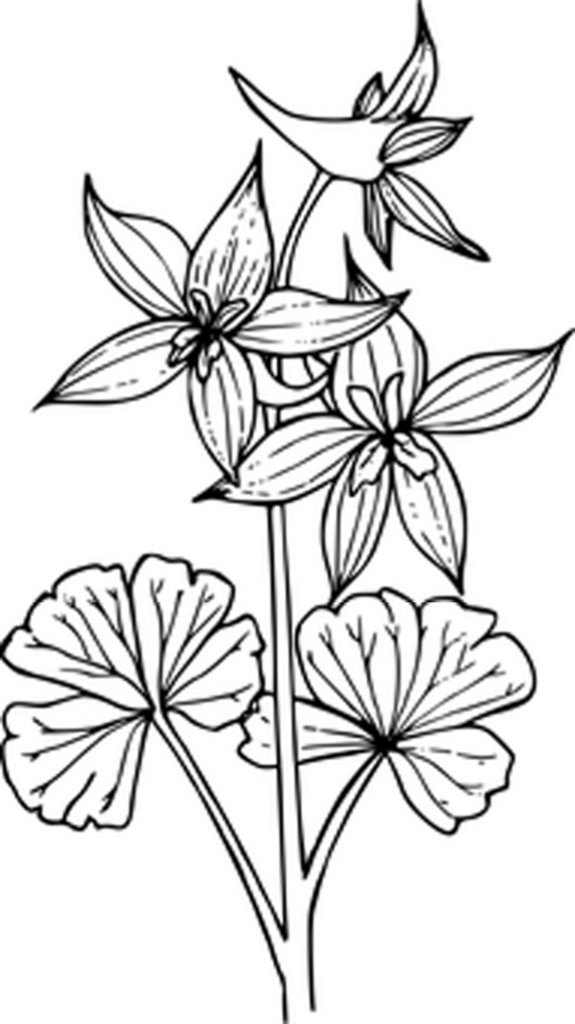 Minimalist Solid Black Wallpaper: Versatile Background for Creativity