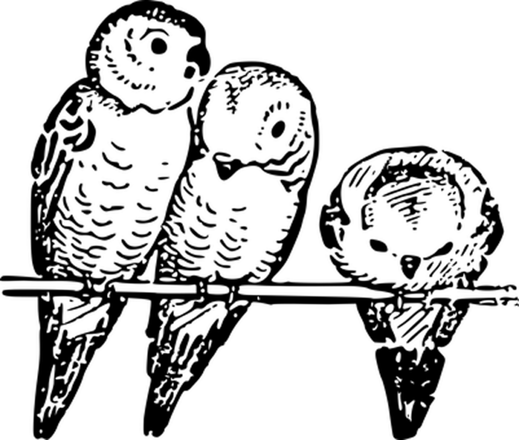 Minimalist Solid Black Wallpaper: Versatile Background for All Devices