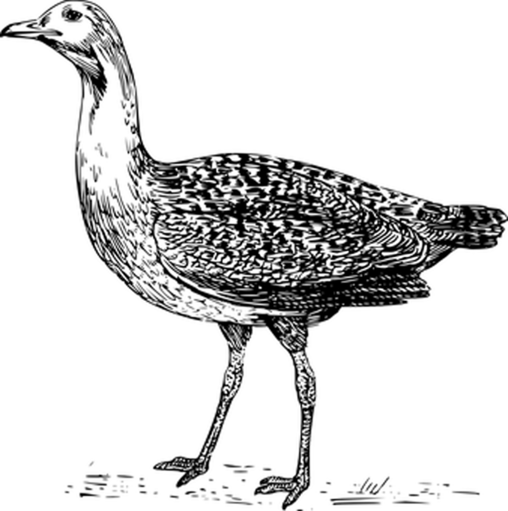 Solid Black Wallpaper: Minimalist Background for Versatile Uses