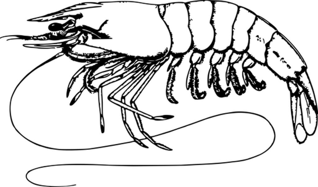 Solid Black Wallpaper: Minimalist Design for Any Screen