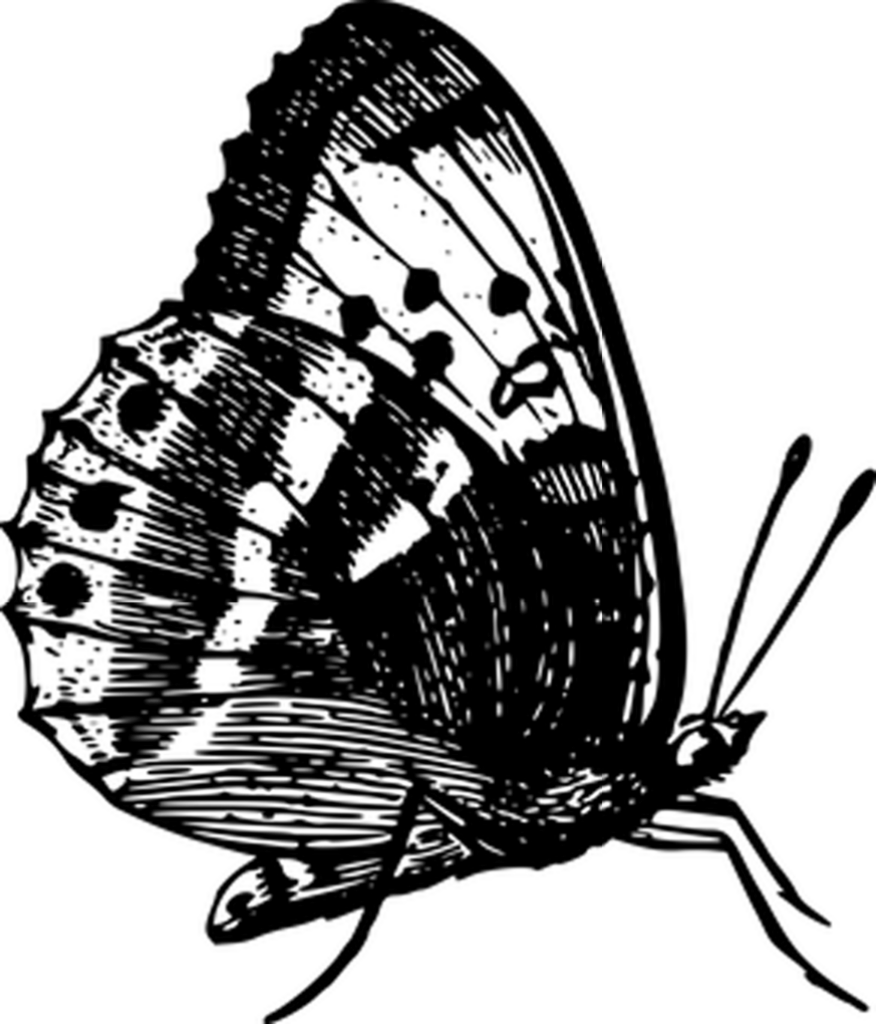 Solid Black Wallpaper: Minimalist Background for Any Device