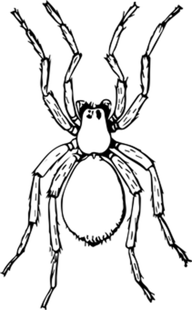 Minimalist Solid Black Wallpaper for a Clean, Distraction-Free Background