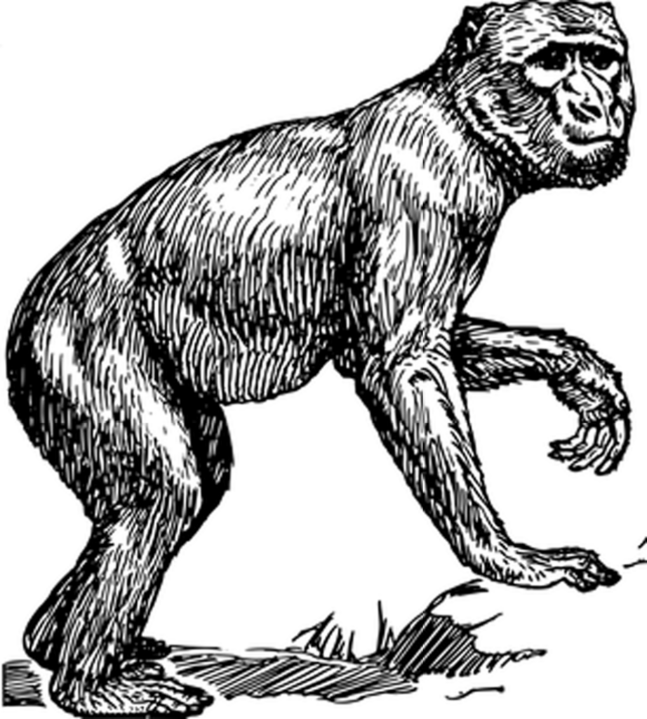 Solid Black Wallpaper: Minimalist Background for a Distraction-Free Look