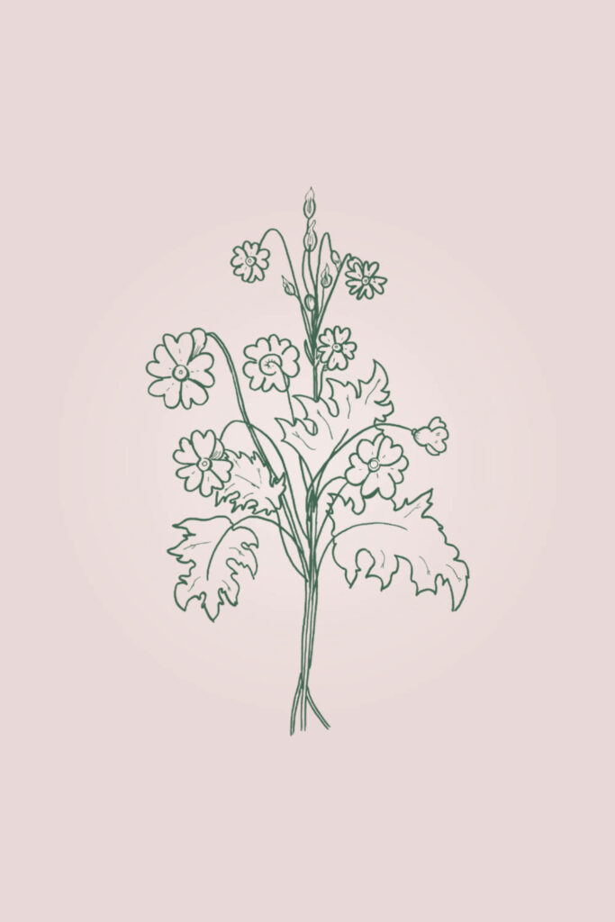Tranquil Minimalist Wildflower Wallpaper on Soft Pink Background